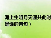 海上生明月天涯共此时是谁的名言（海上生明月天涯共此时是谁的诗句）