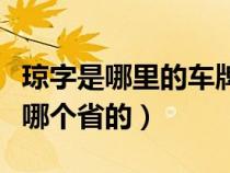 琼字是哪里的车牌号（琼字是开头的车牌号是哪个省的）