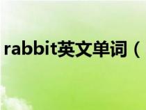 rabbit英文单词（rabbit的复数形式怎么写）