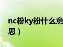 nc粉ky粉什么意思（网络用语nc粉是什么意思）