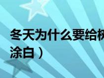 冬天为什么要给树刷白（为什么冬天要为树干涂白）