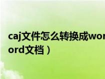 caj文件怎么转换成word文档怎么改（caj文件怎么转换成word文档）