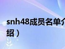 snh48成员名单介绍大全（snh48成员名单介绍）