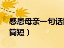 感恩母亲一句话简短20字（感恩母亲一句话简短）