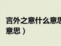 言外之意什么意思解释一下（言外之意是什么意思）