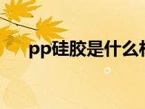 pp硅胶是什么材料（硅胶是什么材料）