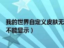 我的世界自定义皮肤无法显示（我的世界自定义皮肤为什么不能显示）