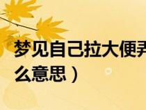 梦见自己拉大便弄自己一身（梦到屎沾身上什么意思）