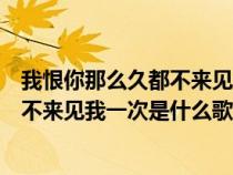 我恨你那么久都不来见我一次是什么歌词（我恨你那么久都不来见我一次是什么歌）