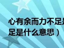 心有余而力不足是什么意思?（心有余而力不足是什么意思）