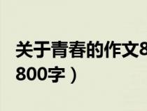 关于青春的作文800字初中（关于青春的作文800字）