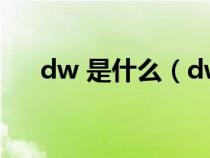 dw 是什么（dw中文含义是什么意思）