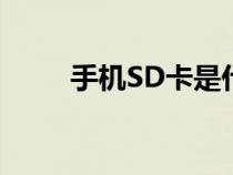 手机SD卡是什么卡（sd卡是什么）