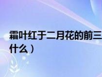 霜叶红于二月花的前三句（诗句霜叶红于二月花的前一句是什么）