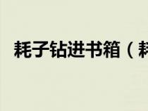 耗子钻进书箱（耗子进书箱歇后语是什么）