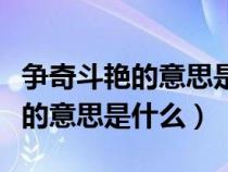 争奇斗艳的意思是什么三年级下册（争奇斗艳的意思是什么）