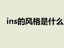 ins的风格是什么意思（ins风格什么意思）