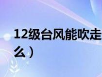 12级台风能吹走什么树（12级台风能吹走什么）