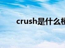 crush是什么梗啊（crush是什么梗）