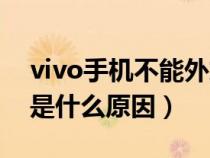 vivo手机不能外放（vivo手机外放没声音了是什么原因）