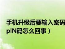 手机升级后要输入密码忘了怎么办（手机版本升级后要输入plN码怎么回事）