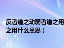 反者道之动弱者道之用什么意思康老师（反者道之动弱者道之用什么意思）