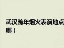 武汉跨年烟火表演地点在哪举行（武汉跨年烟火表演地点在哪）