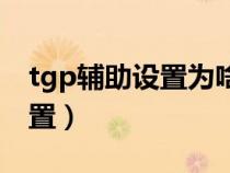 tgp辅助设置为啥点不了呢（tgp高跳如何设置）