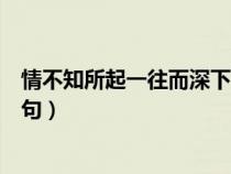 情不知所起一往而深下一句出自（情不知所起一往而深下一句）