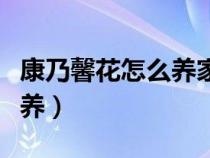 康乃馨花怎么养家庭养法视频（康乃馨花怎么养）