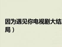 因为遇见你电视剧大结局视频56集（因为遇见你电视剧大结局）