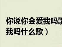 你说你会爱我吗歌词（你说你会爱我吗真的爱我吗什么歌）