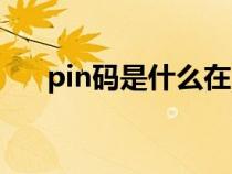 pin码是什么在哪里看（pin码是什么）