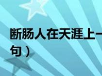 断肠人在天涯上一句是啥（断肠人在天涯上一句）