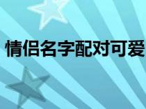 情侣名字配对可爱（情侣名字一对简洁可爱）