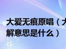 大爱无痕原唱（大爱无痕大音希声请问怎样理解意思是什么）