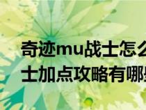 奇迹mu战士怎么加点攻击最高（奇迹mu战士加点攻略有哪些）