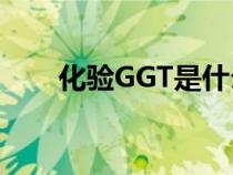 化验GGT是什么意思（gg是啥意思）