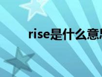 rise是什么意思（rose是什么意思）