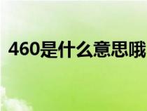 460是什么意思哦（女生说460是什么意思）