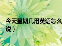 今天星期几用英语怎么说回答问题（今天星期几用英语怎么说）