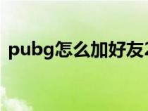 pubg怎么加好友2023（pubg怎么加好友）