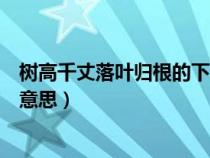 树高千丈落叶归根的下一句（树高千丈落叶归根的根是什么意思）