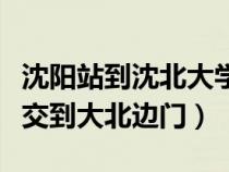 沈阳站到沈北大学城怎么走（沈阳站乘几路公交到大北边门）