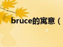 bruce的寓意（bruce名字寓意是什么）