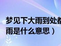 梦见下大雨到处都是水是什么意思（梦到下大雨是什么意思）