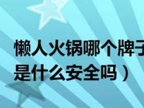 懒人火锅哪个牌子口碑最好（懒人火锅的原理是什么安全吗）