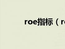 roe指标（roe指标是什么意思）