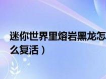 迷你世界里熔岩黑龙怎么驯服（迷你世界熔岩黑龙打死了怎么复活）