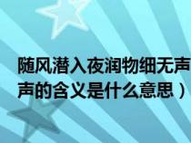 随风潜入夜润物细无声是什么意思呢（随风潜入夜润物细无声的含义是什么意思）